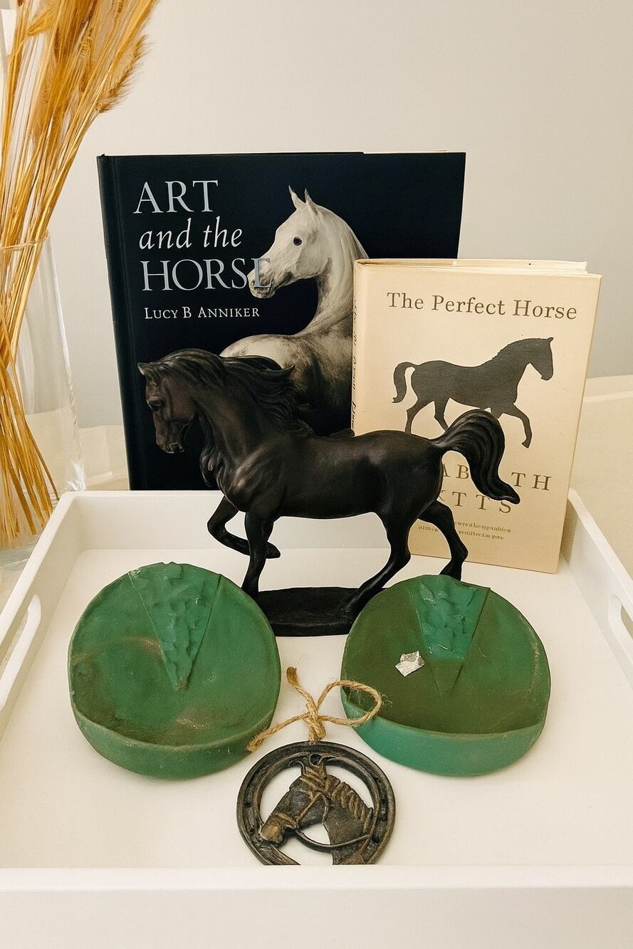 Therapeutic/ Rehabilitation Horse Boot Inserts
